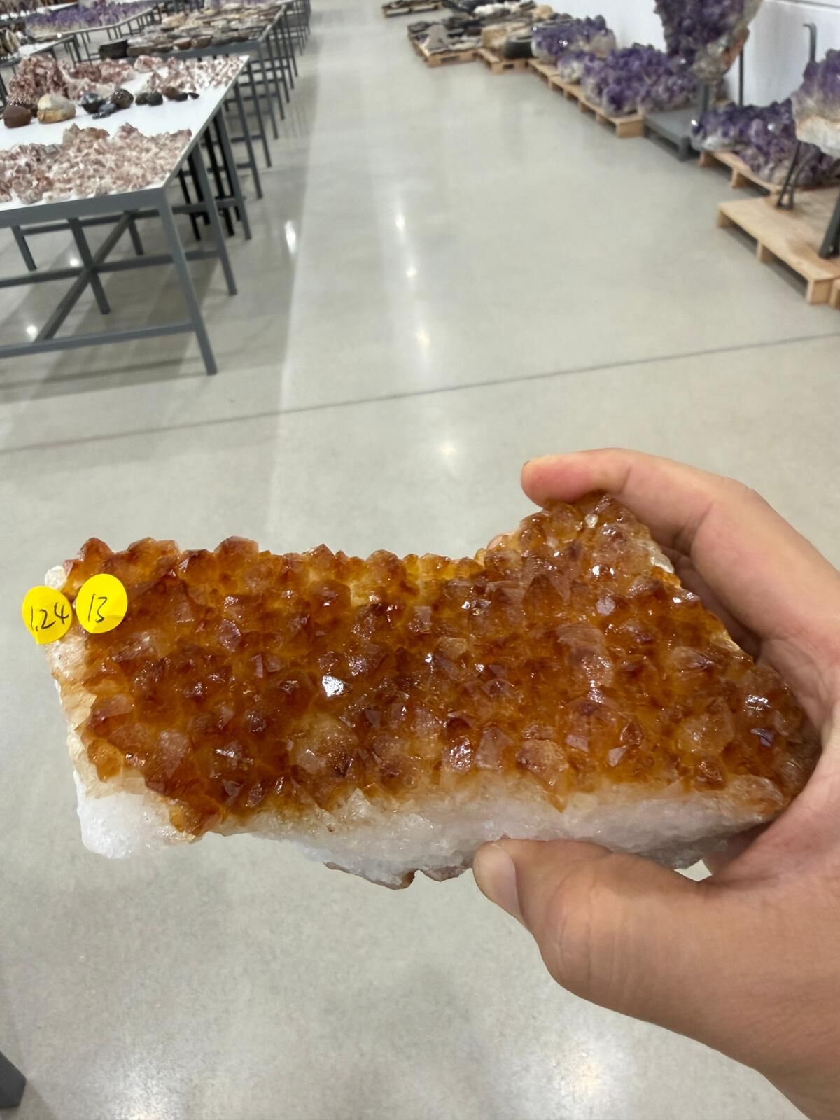 WN290 SIU13 黃水晶簇 1.24 kg