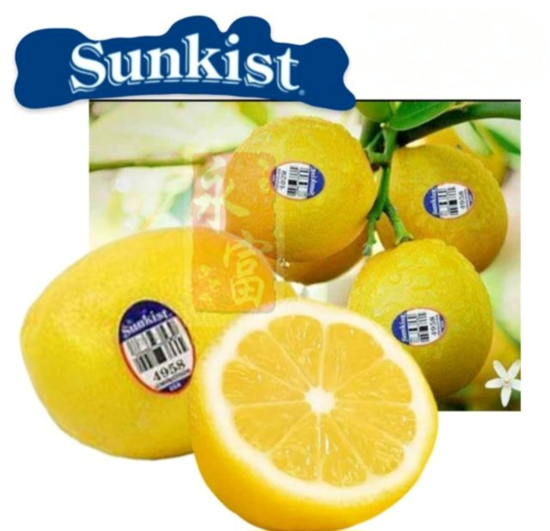 新奇士檸檬(4個)