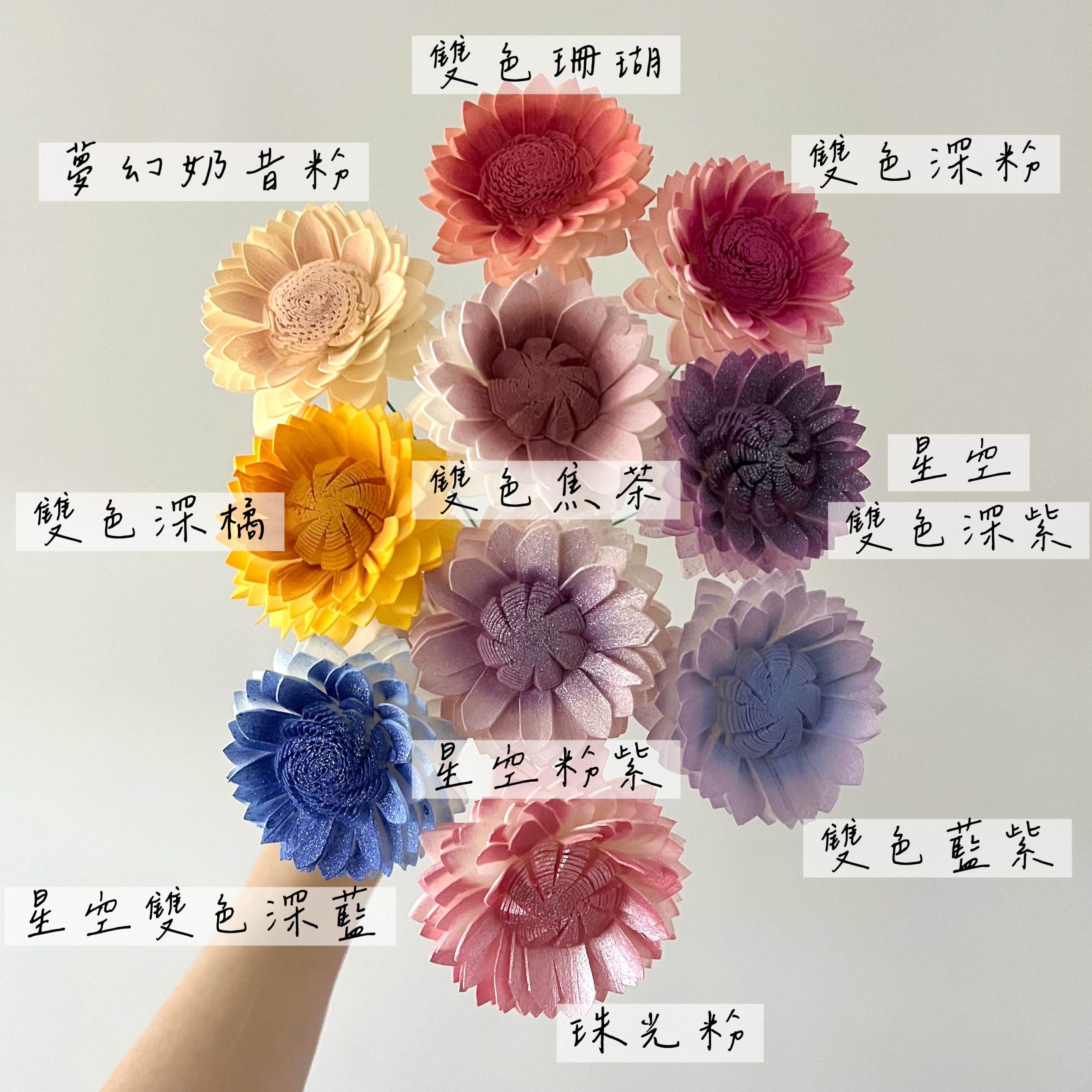 泰國索拉花 向日葵 6CM <十支一把> (高品質)