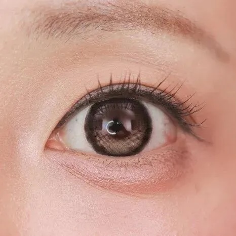 Lenbling Big Pureble 1 Day 13.8mm(Ash Brown)(10片)