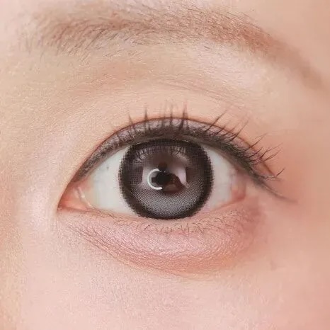 Lenbling Big Pureble 1 Day 13.8mm(Ash Gray)(10片)