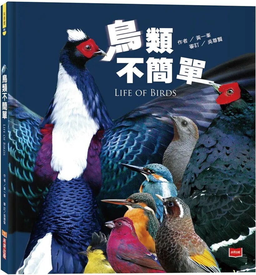 鳥類不簡單（新版）