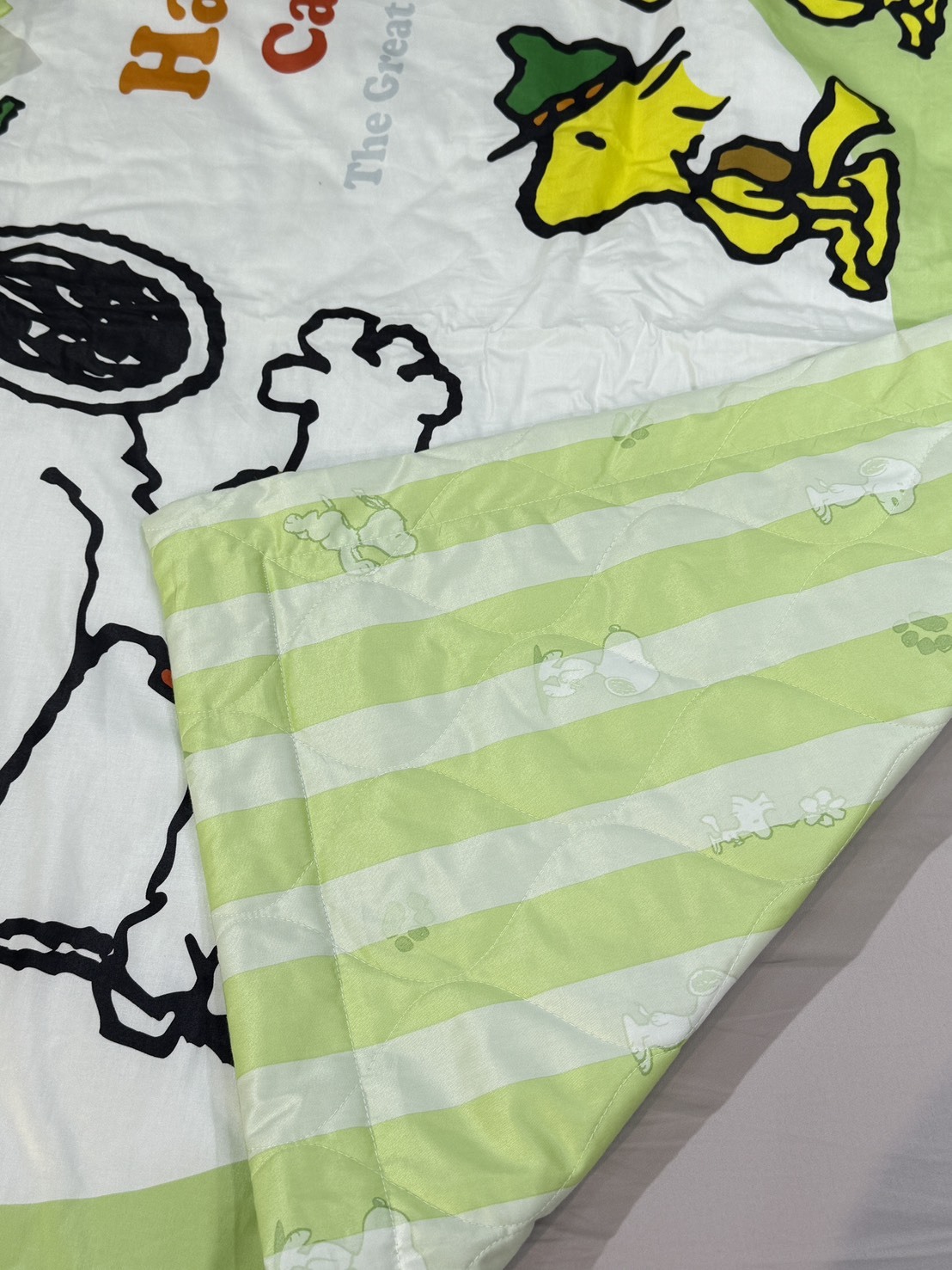 史努比兒童睡墊三件組｜快樂冒險