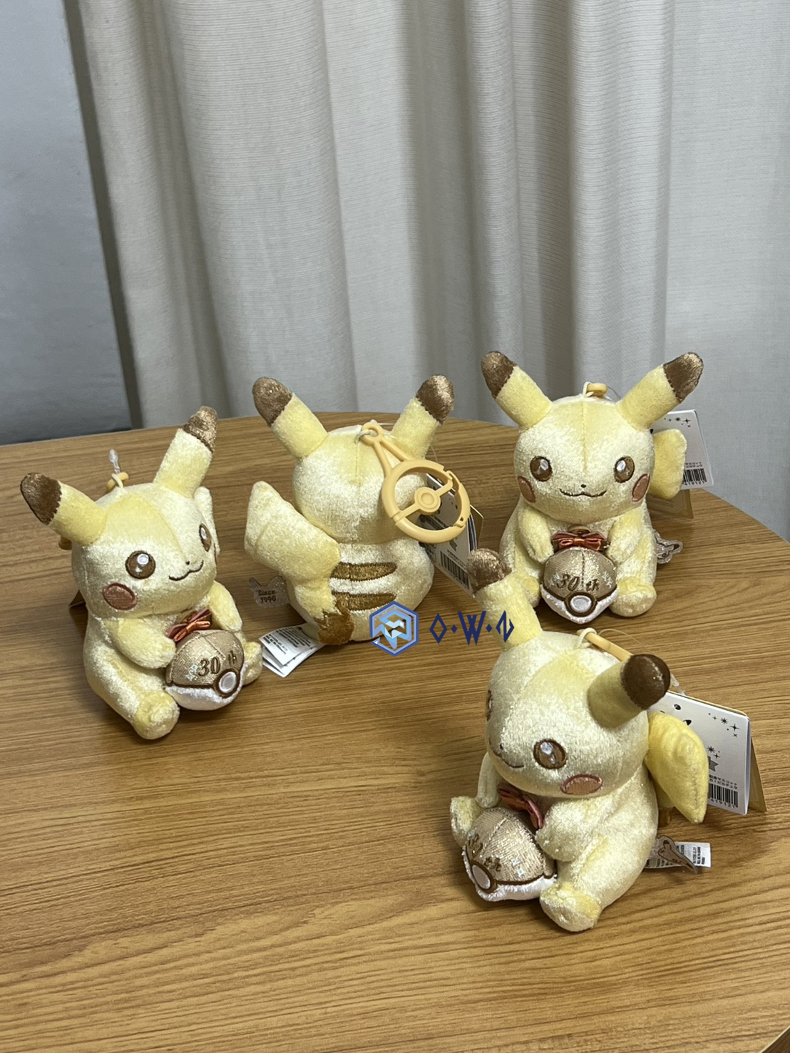 【OWN】Pokémon 寶可夢 30周年 日本 限定 吊飾 玩偶 娃娃 皮卡丘 神奇寶貝球