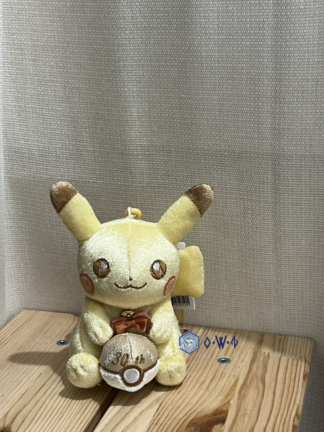【OWN】Pokémon 寶可夢 30周年 日本 限定 吊飾 玩偶 娃娃 皮卡丘 神奇寶貝球