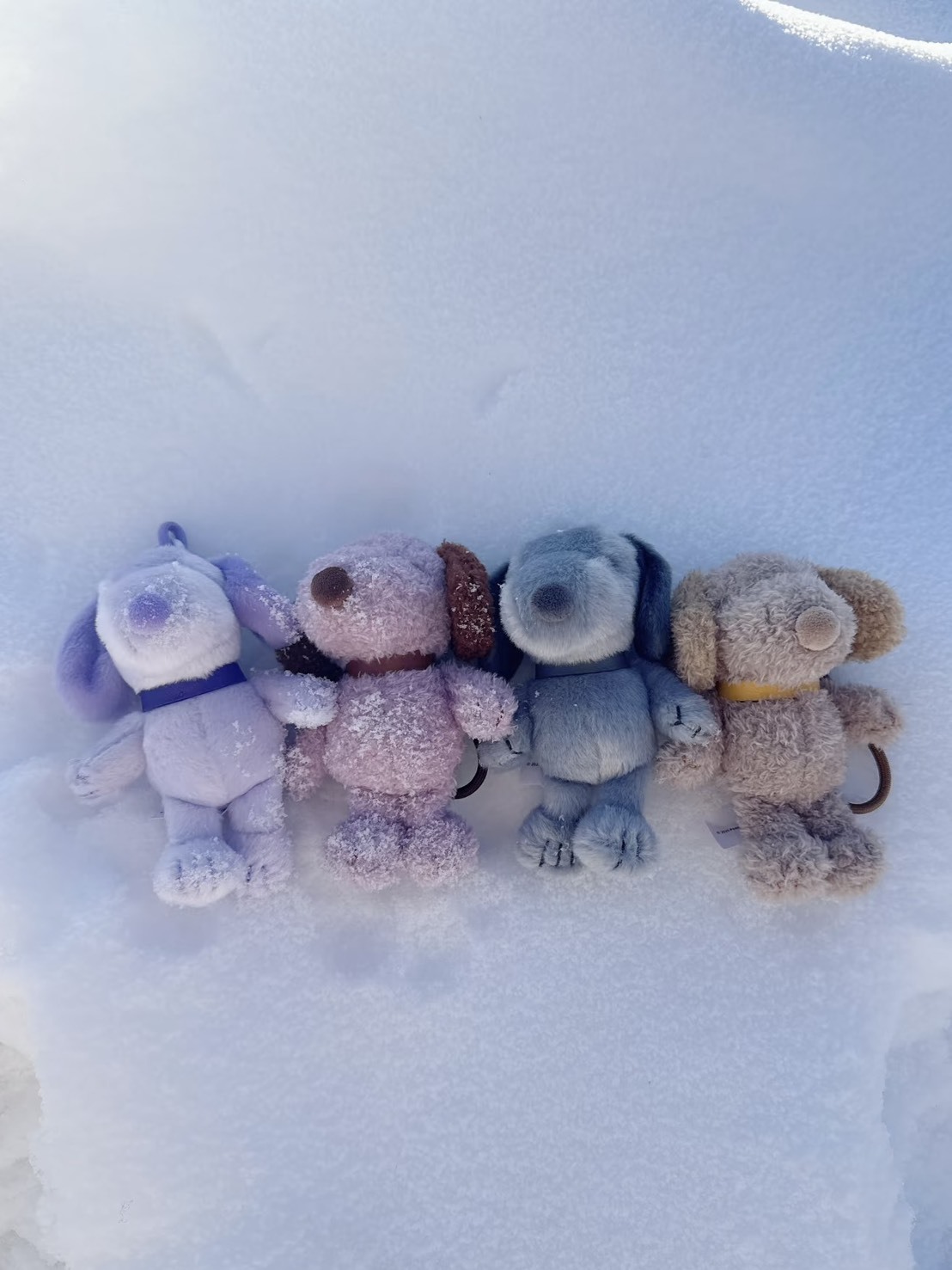 (預購）正版授權！Snoopy 史努比灰調日記系列 絨毛掛件 吊飾