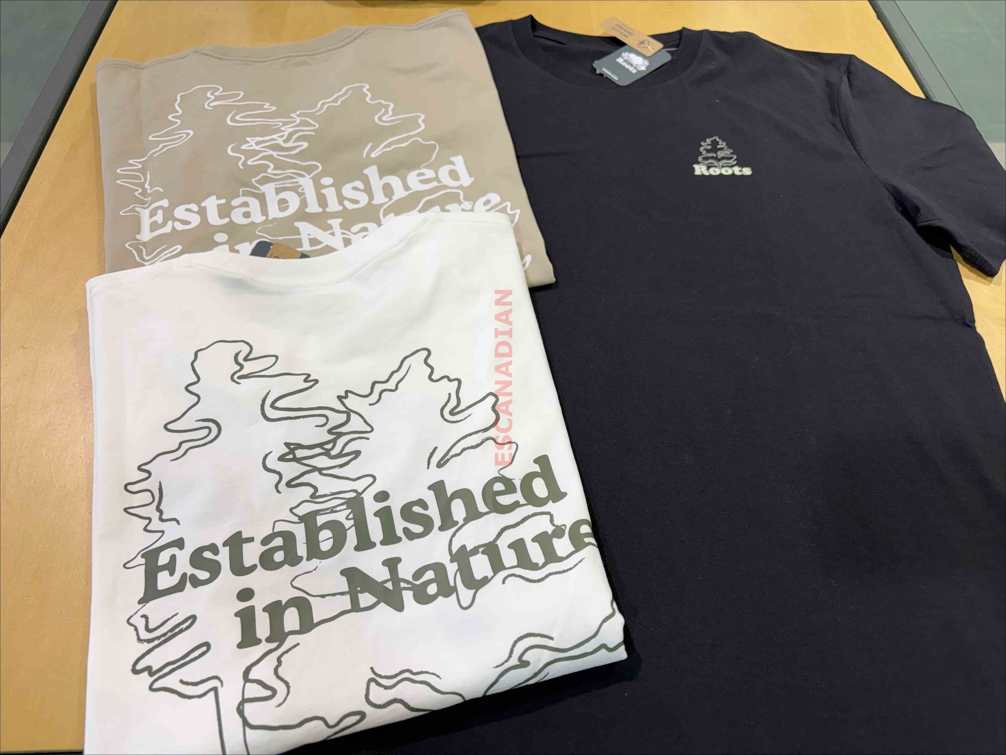 ROOTS 男大人 大自然系列 正反圖案 短TEE (3色)