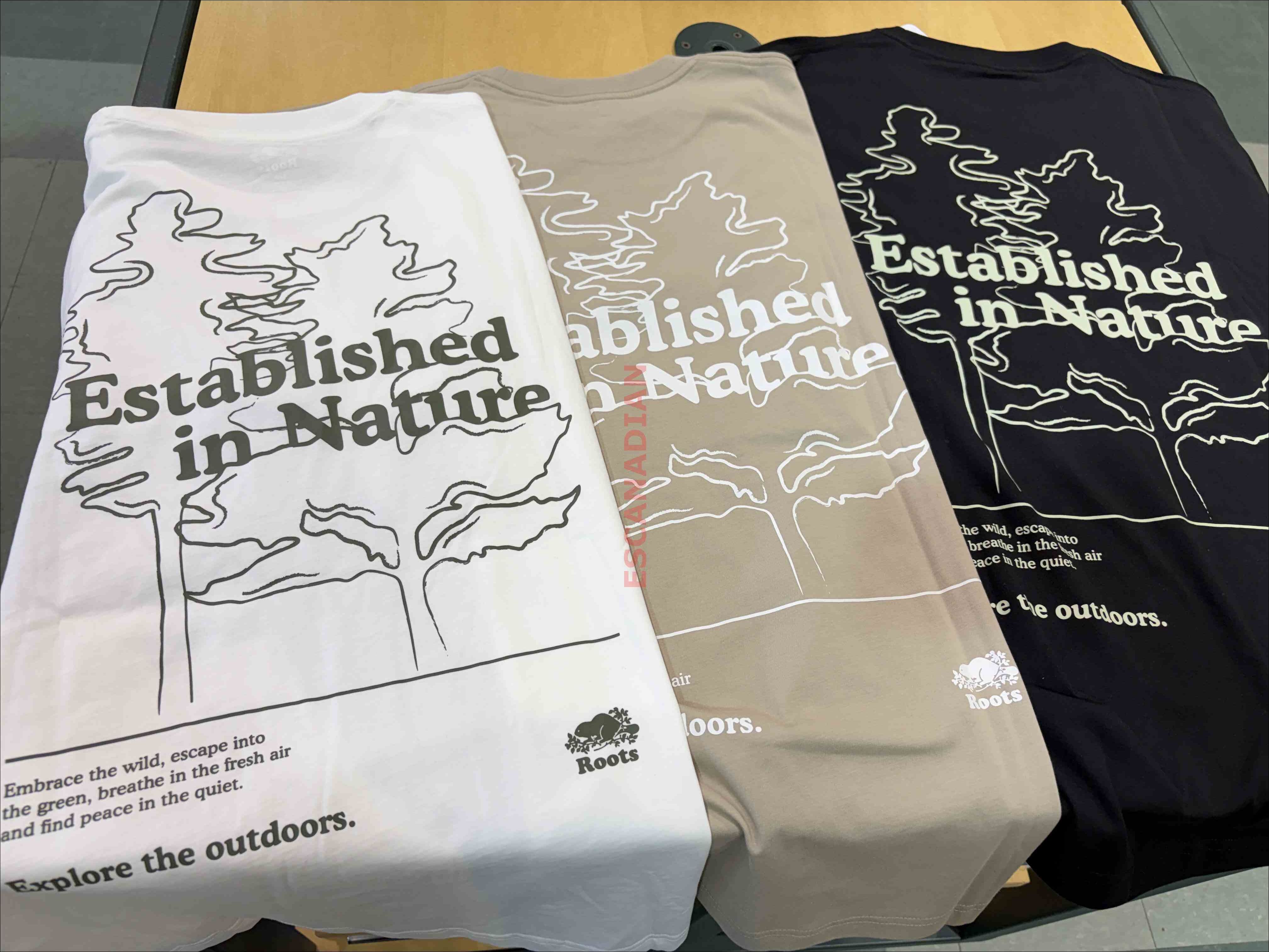 ROOTS 男大人 大自然系列 正反圖案 短TEE (3色)