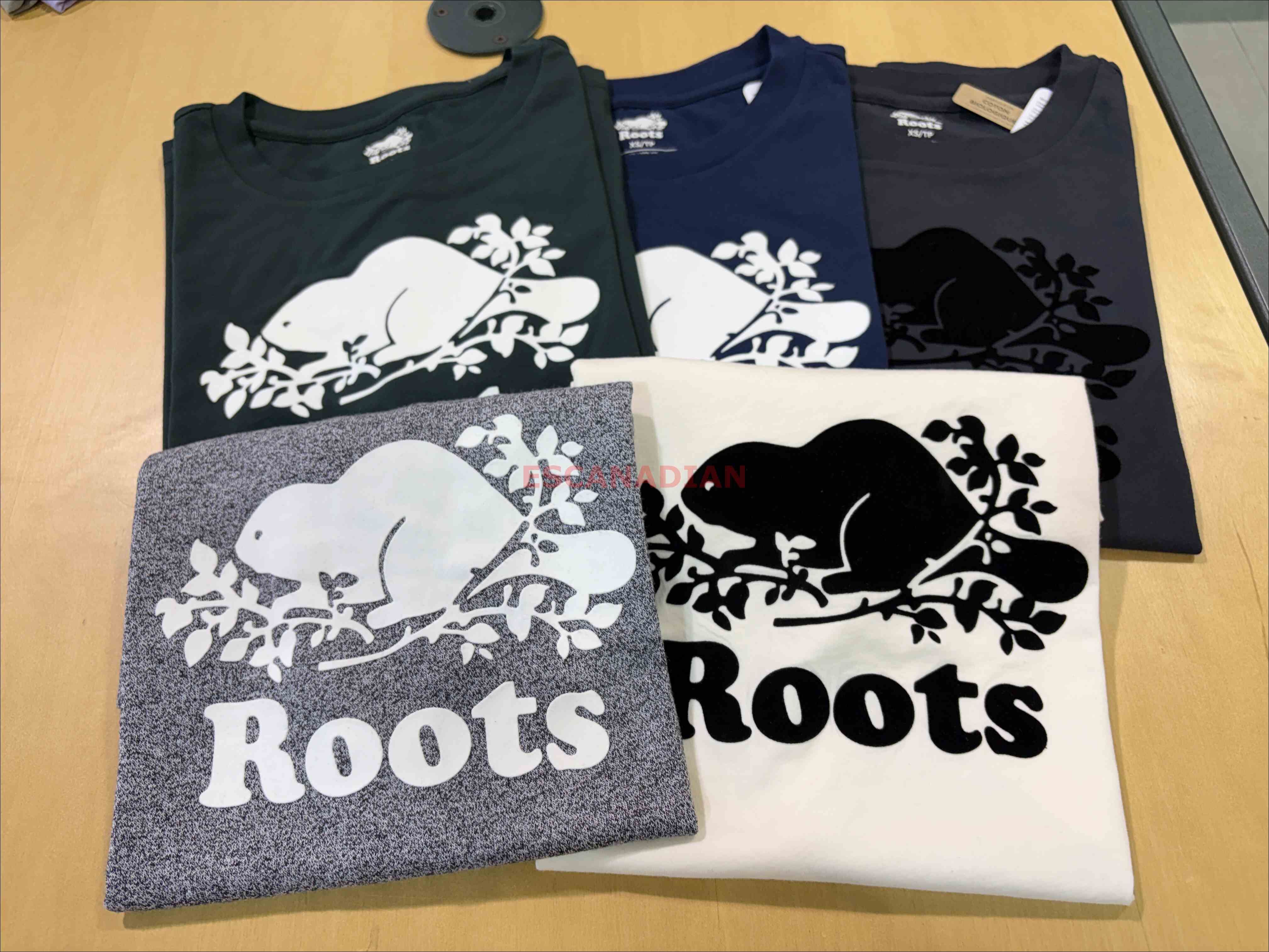 ROOTS 女大人 有機棉 經典款 寬版(Relaxed) 海狸 短TEE (5色)