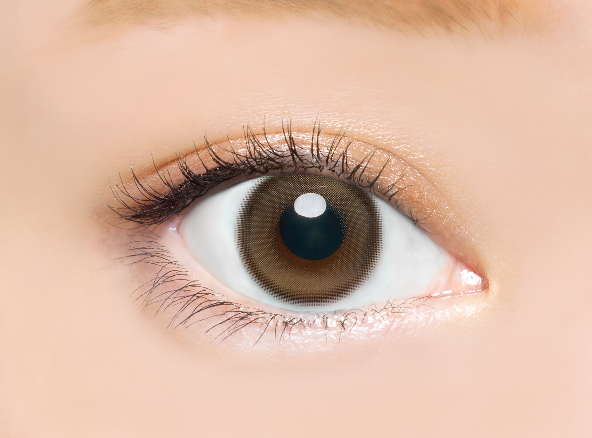 Bambi Series Angel Color Color Contact Lenses 每日即棄有色隱形眼鏡(1DAY) (10片) Snow Cocoa