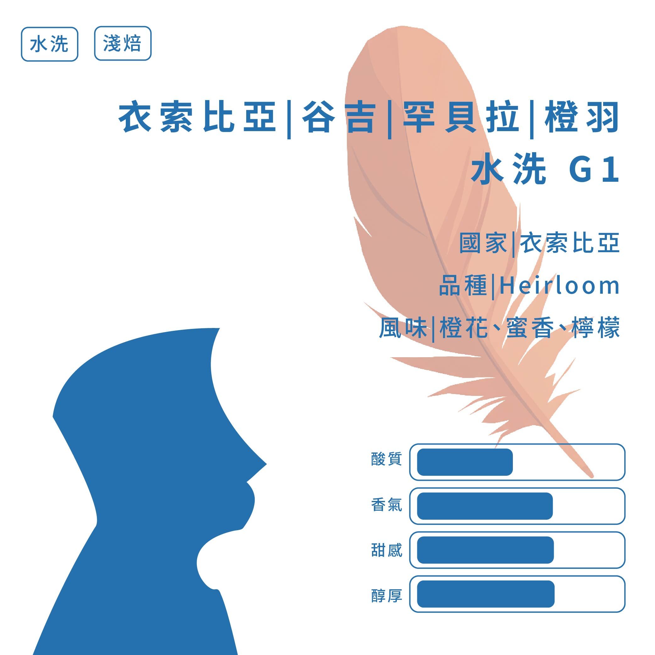 【極選單品｜咖啡烘豆】衣索比亞｜ 谷吉 ｜罕貝拉｜ 橙羽｜ 水洗 G1 (±227g/包)