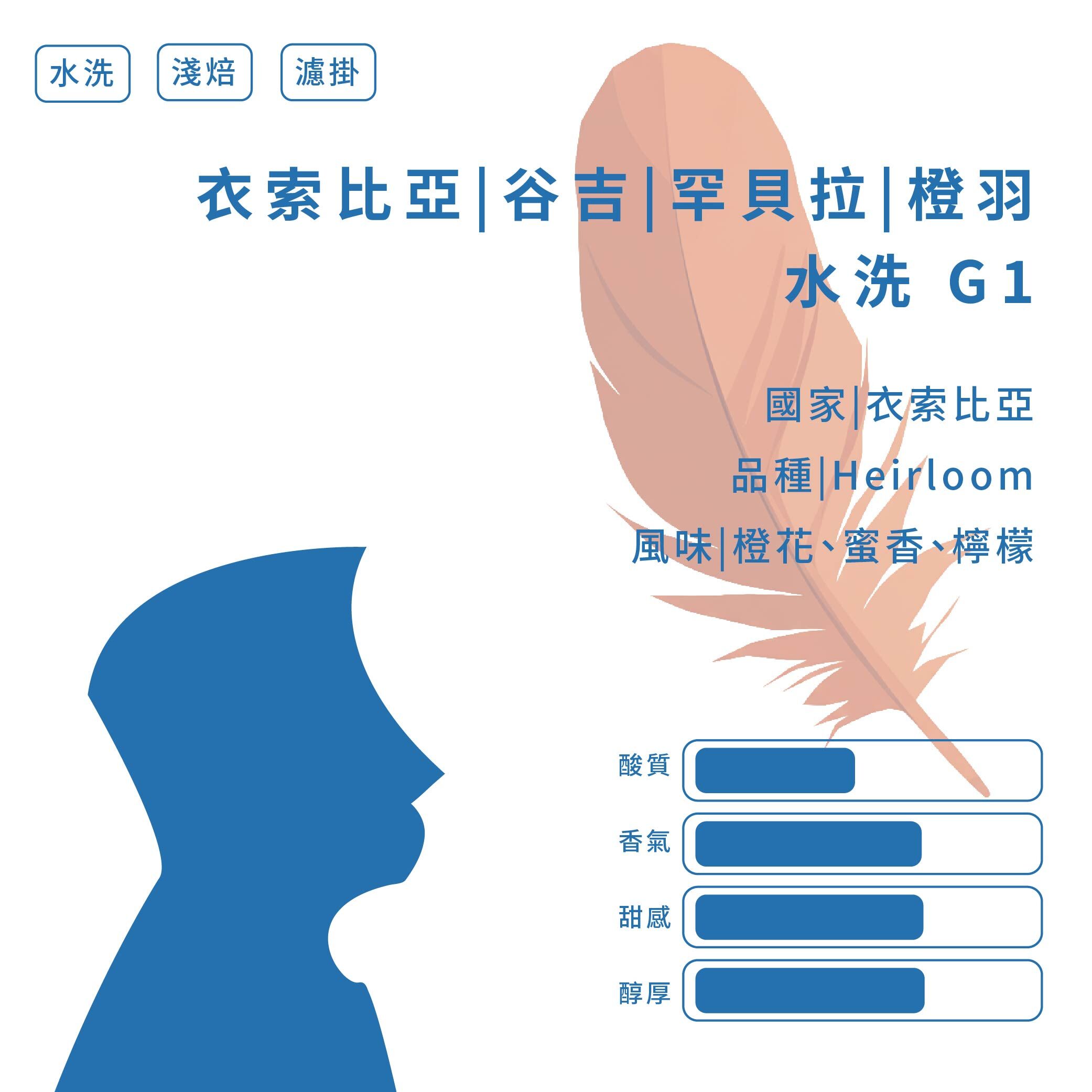 【極選單品｜濾掛咖啡】衣索比亞｜ 谷吉 ｜罕貝拉｜ 橙羽｜ 水洗 G1｜ 1入