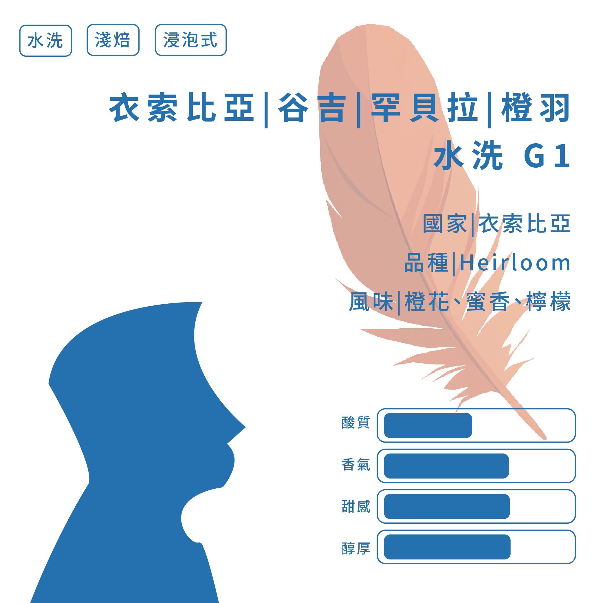 【極選單品｜浸泡式咖啡】衣索比亞｜ 谷吉 ｜罕貝拉｜ 橙羽｜ 水洗 G1｜ 1入