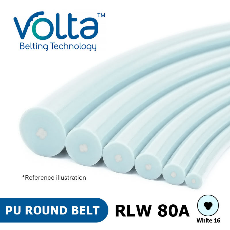 Volta PU Round belt - RLW 80A White16