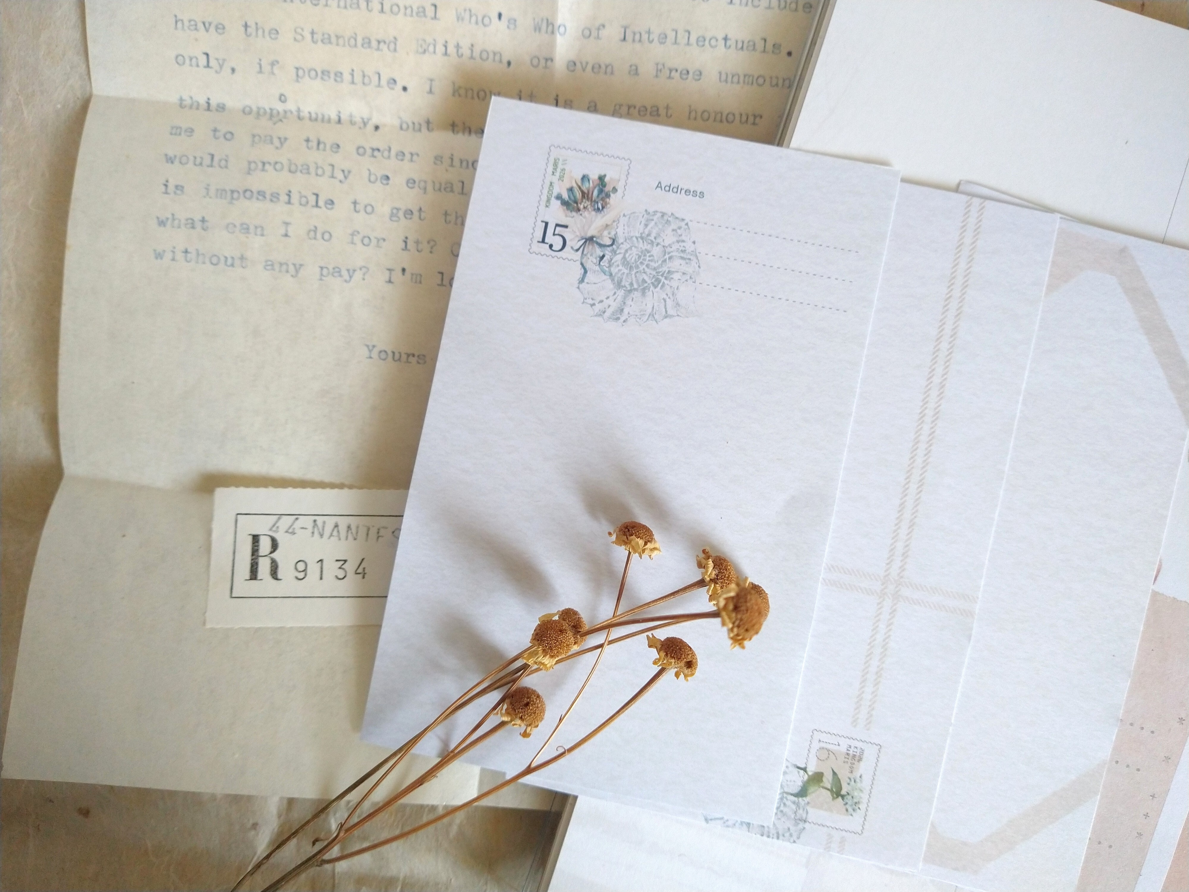 無色綻放．海之花房 min6素材紙