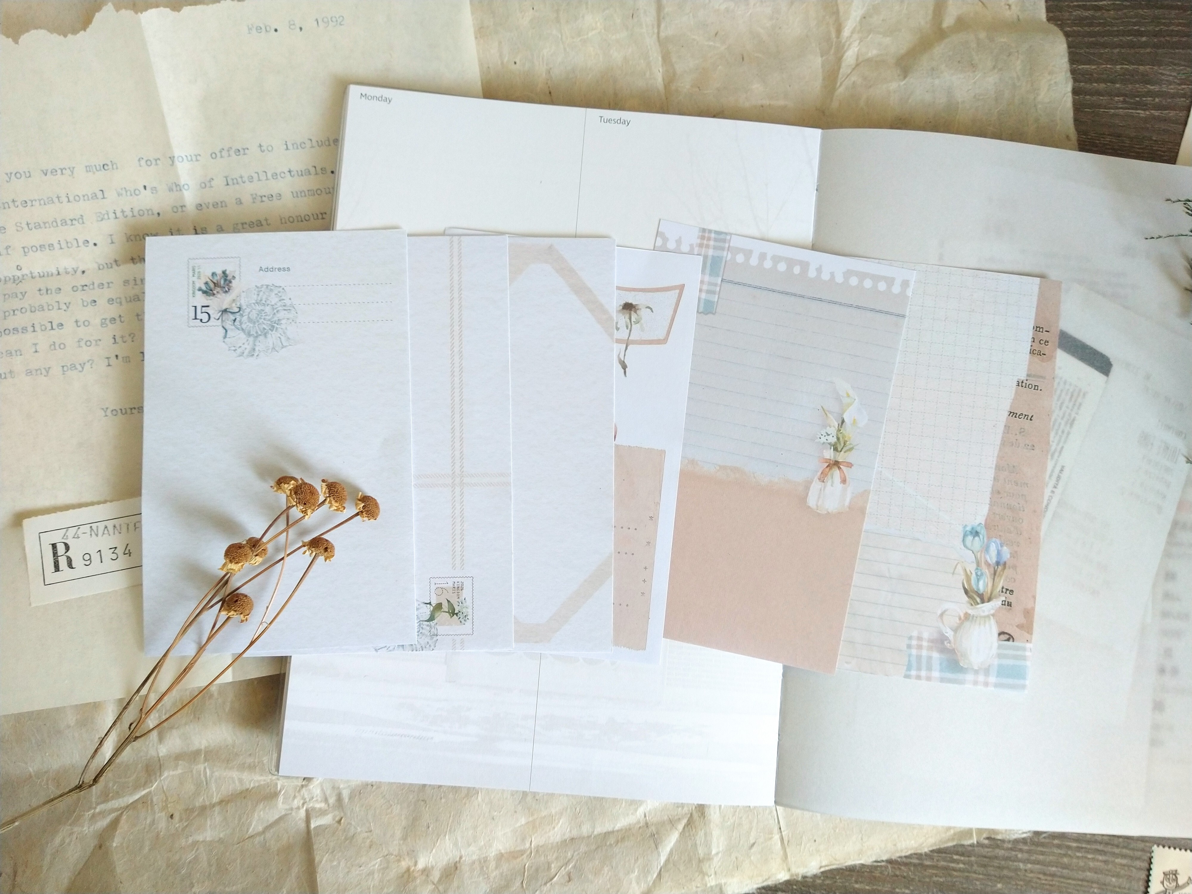 無色綻放．海之花房 min6素材紙