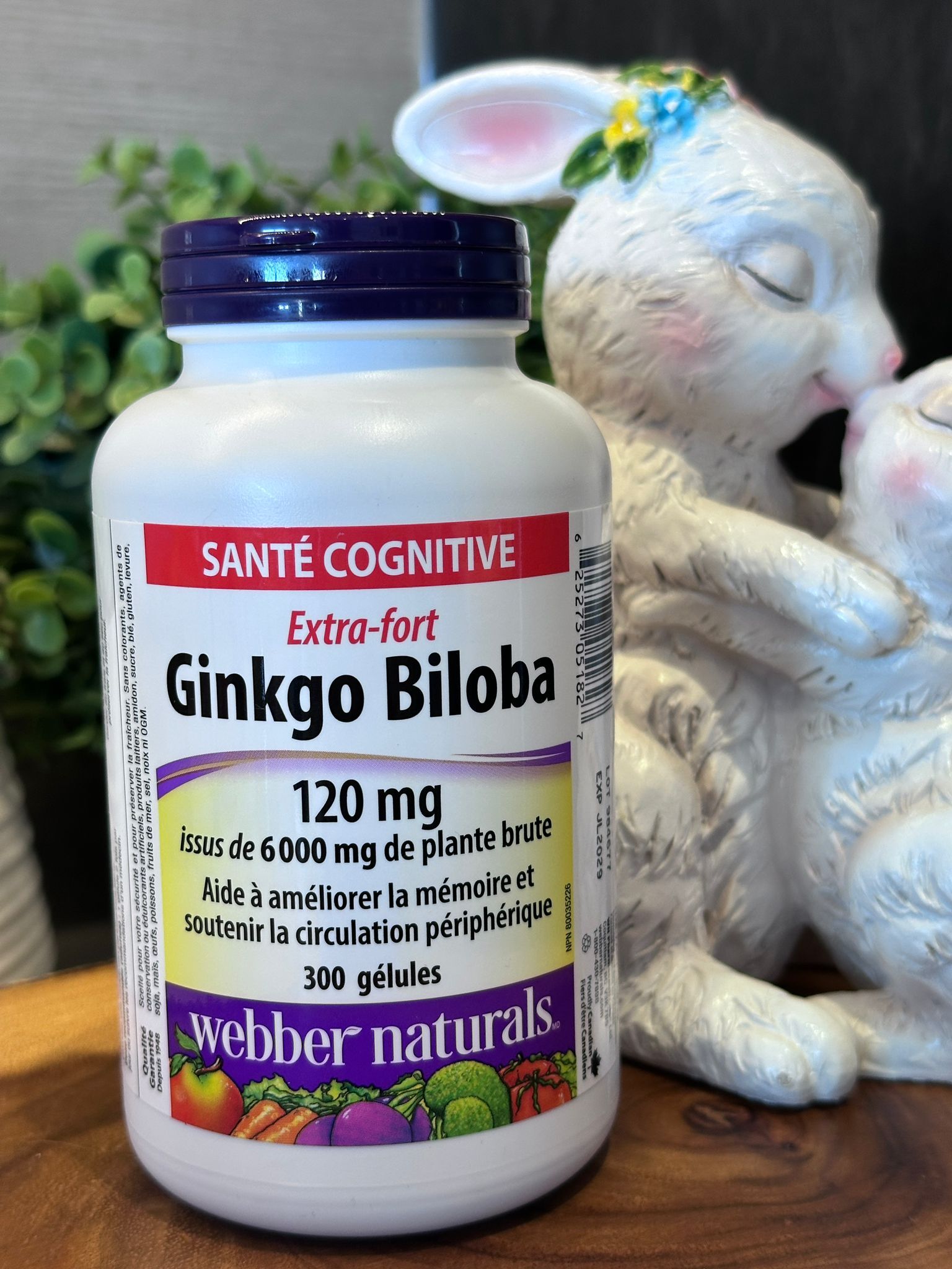 RP29 WN Ginkgo Biloba 銀杏素120mg 300粒  **到期日: 約 2029/06