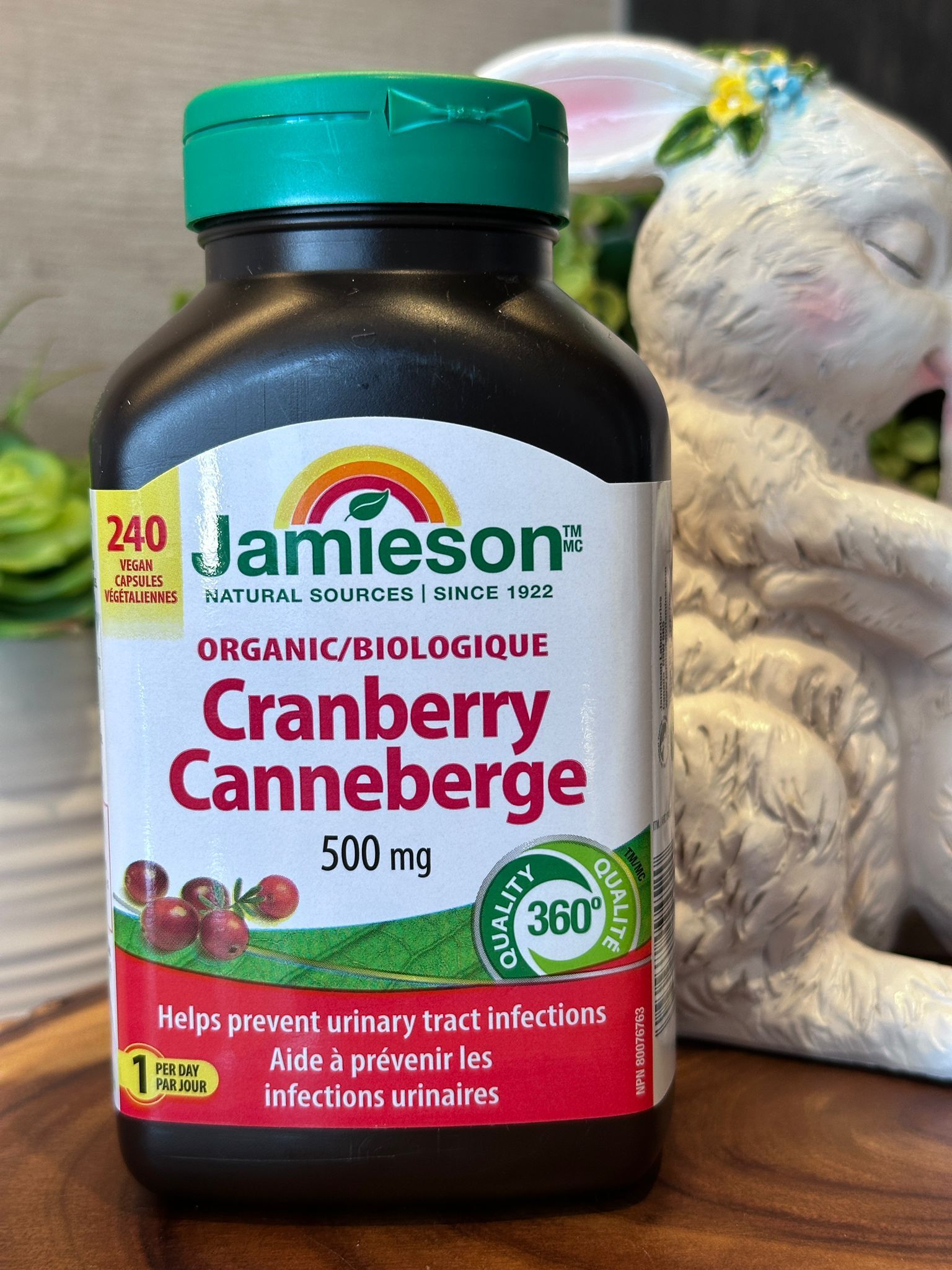 RP39 JMS Cranberry 小紅莓膠囊 500mg 240粒  **到期日: 約 2027/09