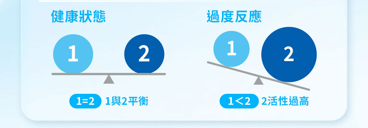 嚴萃生醫 日日敏-黃金三角益生菌 體質‧排便‧呼吸全面調整-16