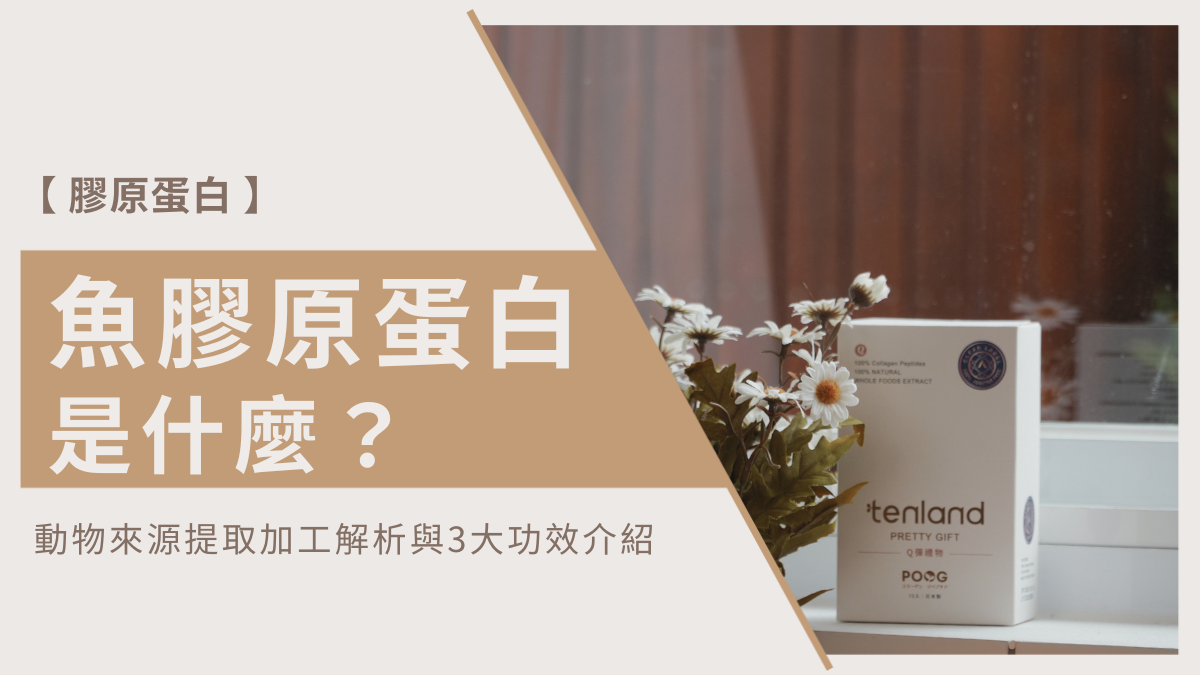 魚膠原蛋白功效
