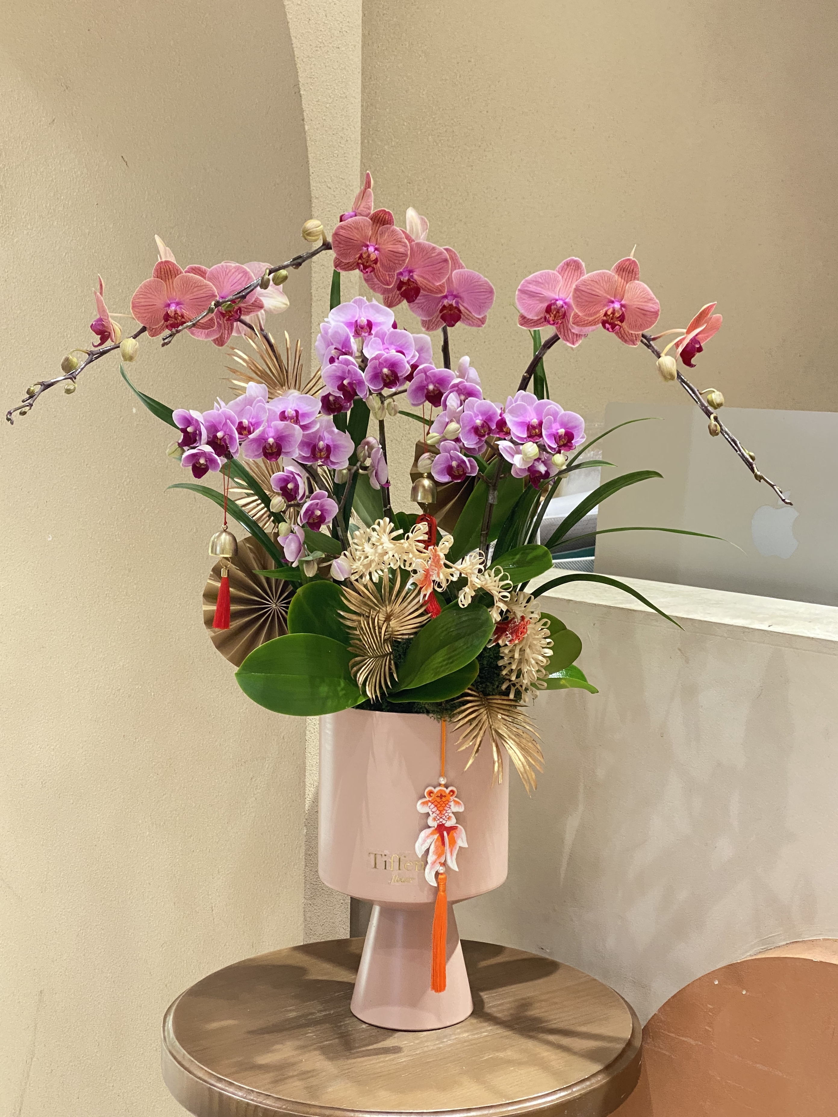 【現貨】蘭花23