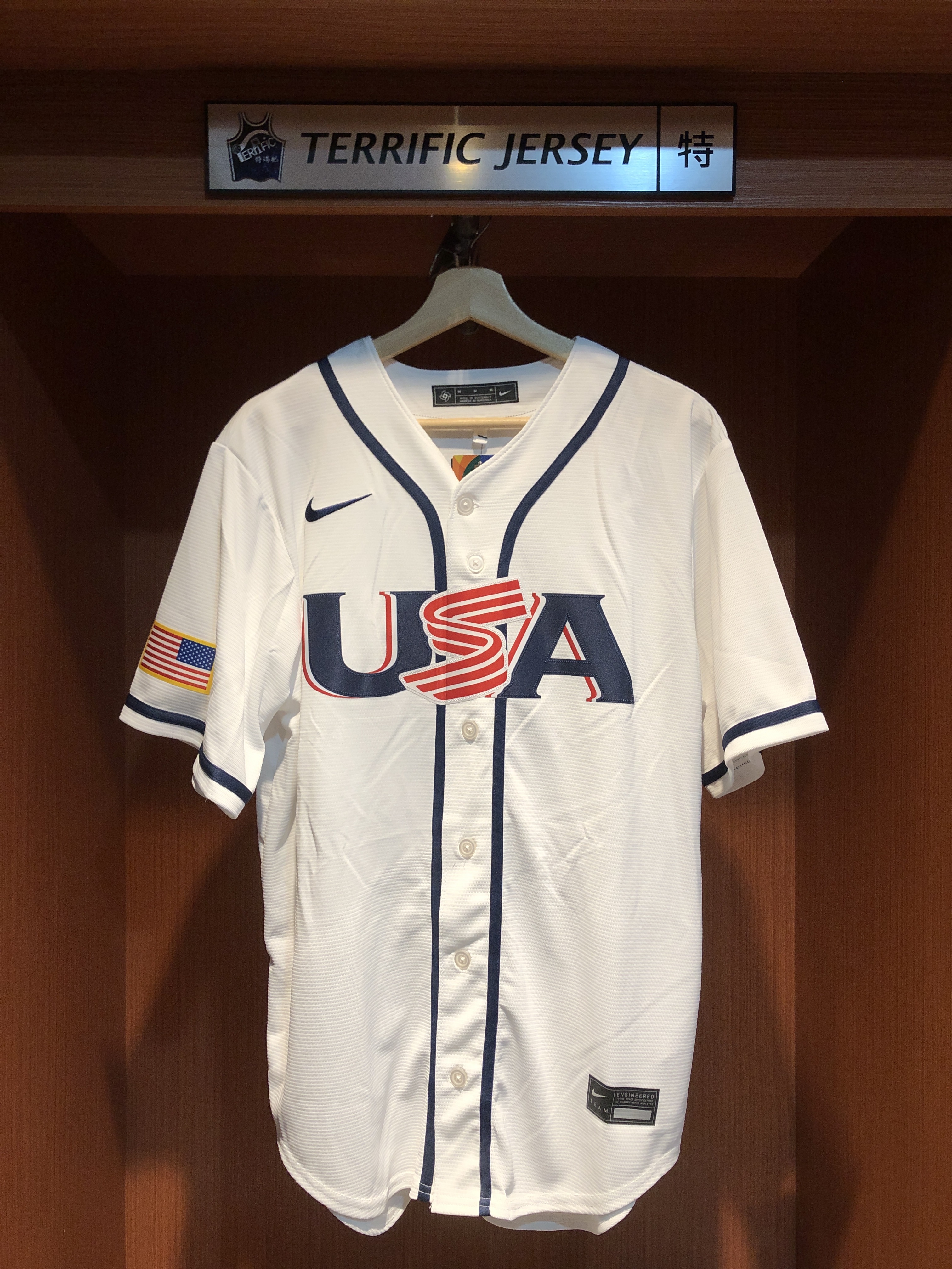MLB球衣 USA Aaron Judge 美國隊白 WBC 世界棒球經典賽 Team USA Nike Stadium Jersey 球迷版 熱轉印 全新