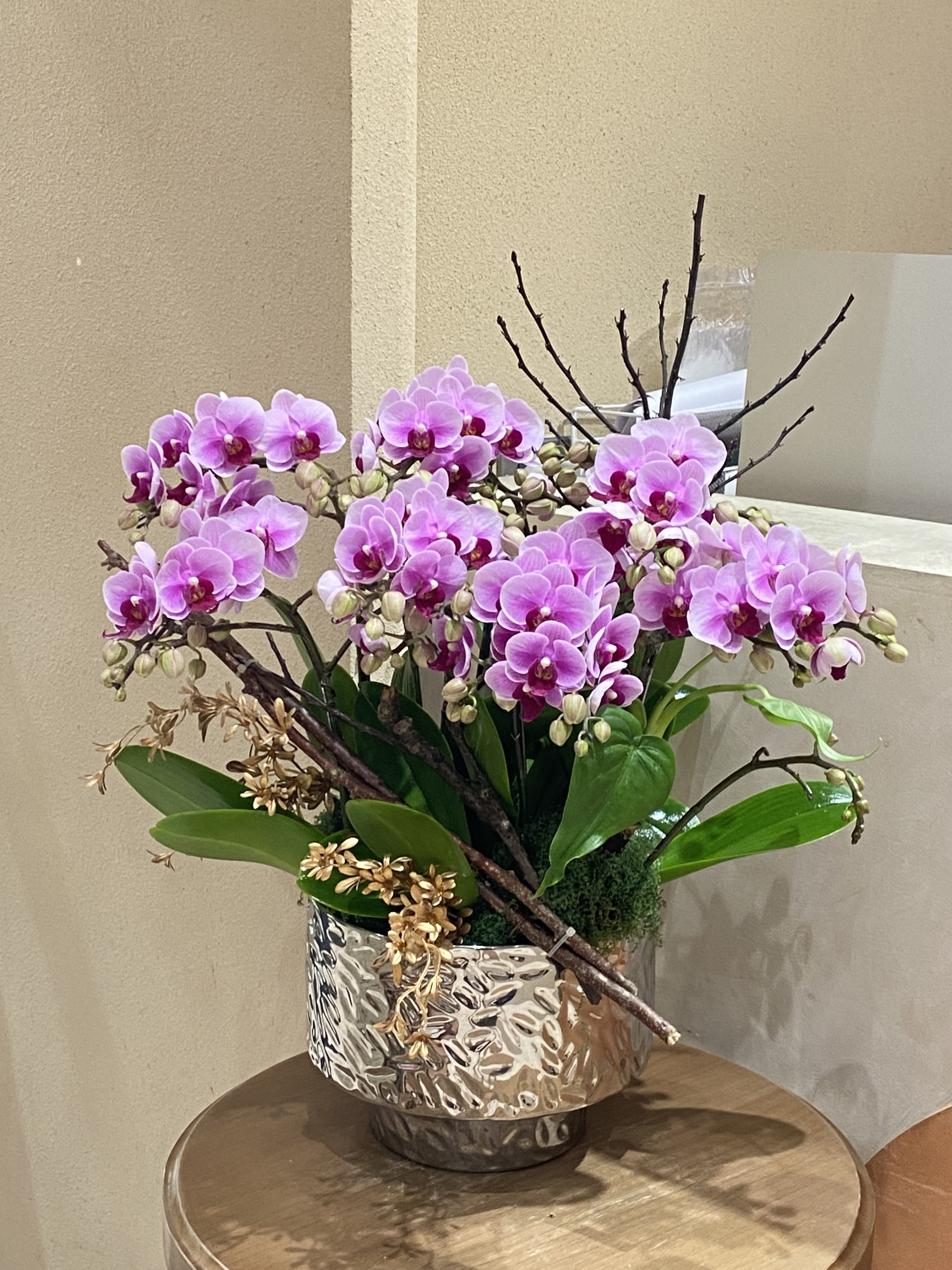 【現貨】蘭花24