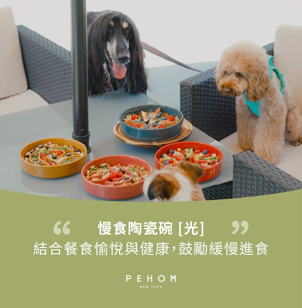 PEHOM 慢食陶瓷碗/光（綠） PEHOM 慢食增高碗（木）