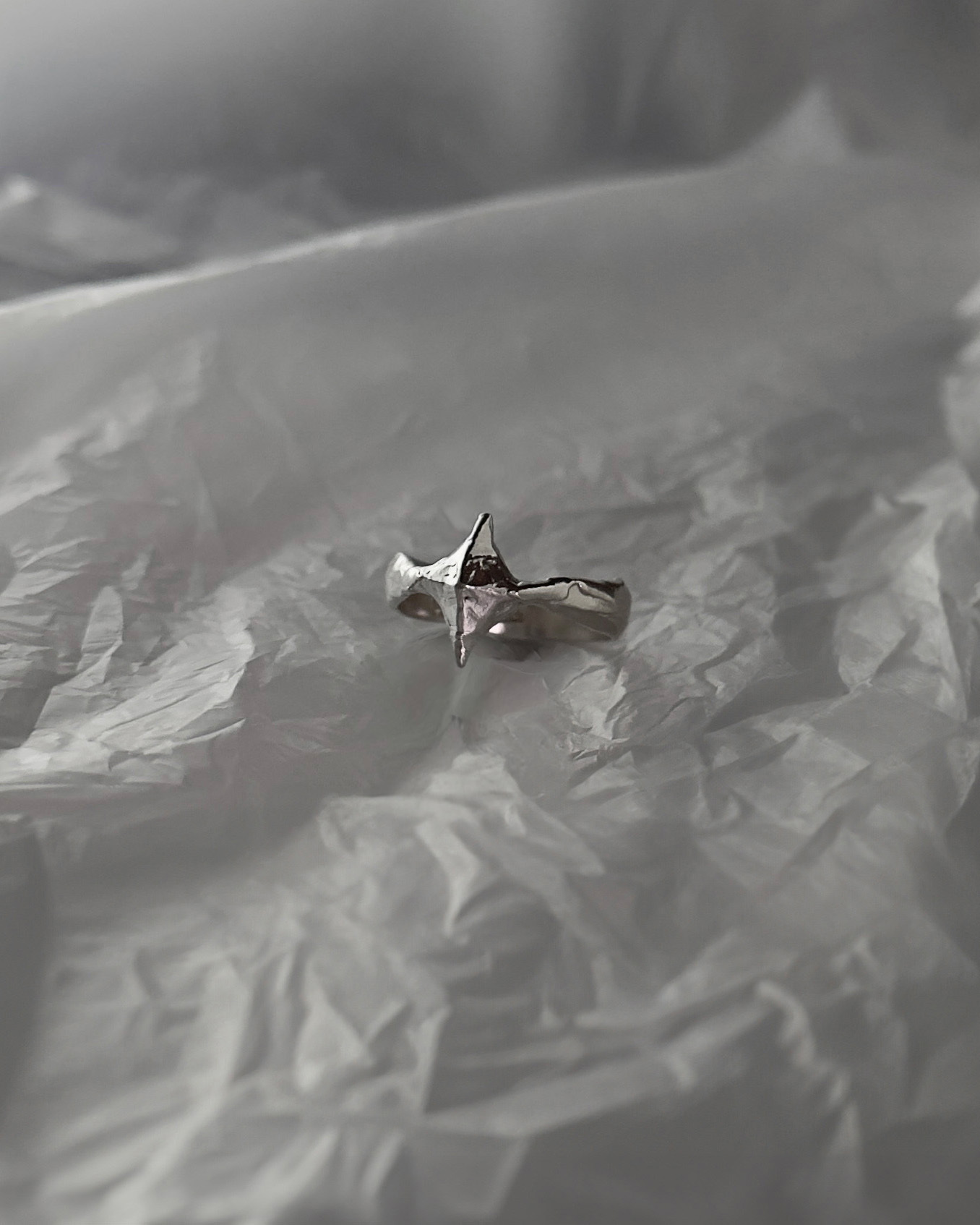 PROJ-ORNMNT 閃光銀戒