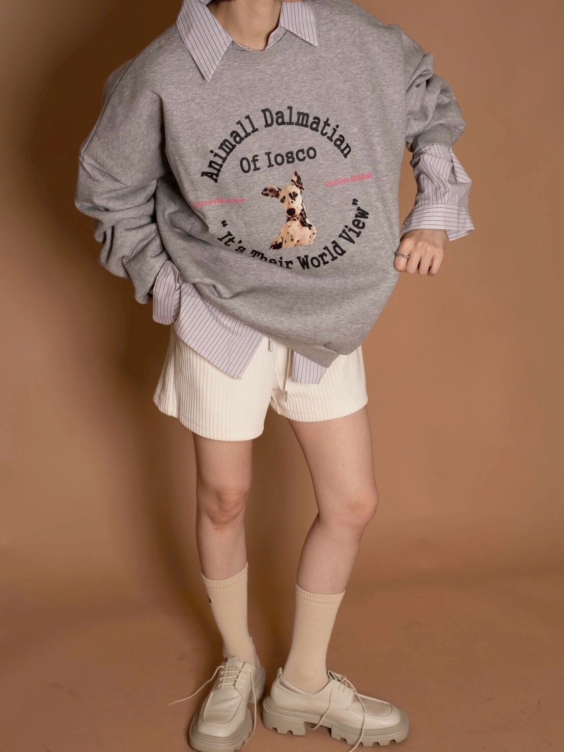 (限量)復古犬系亮眼的大版衛衣/3色均碼/花灰