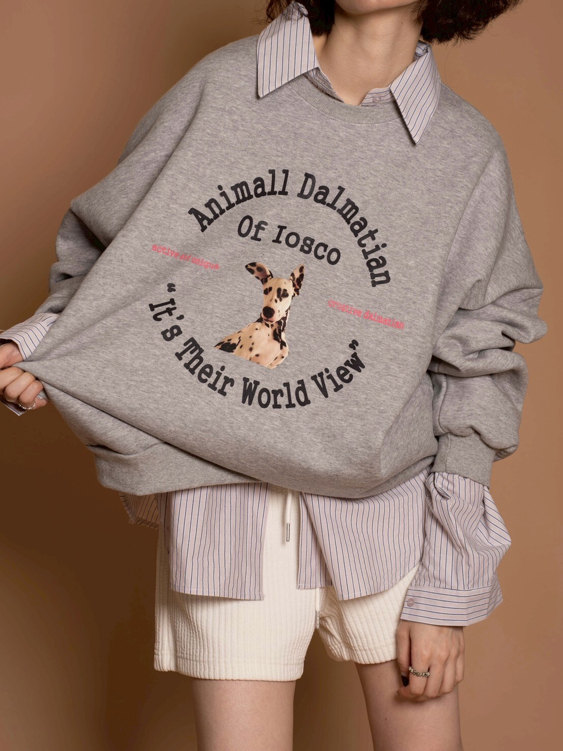 (限量)復古犬系亮眼的大版衛衣/3色均碼/花灰