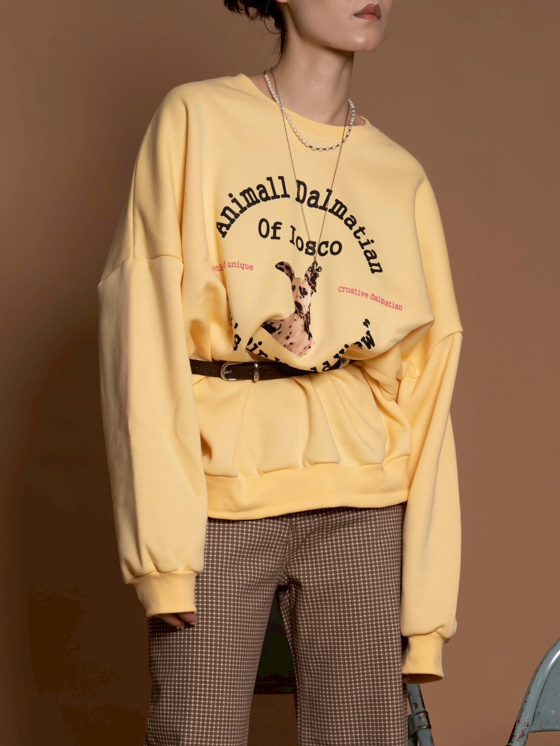 (限量)復古犬系亮眼的大版衛衣/3色均碼/黃