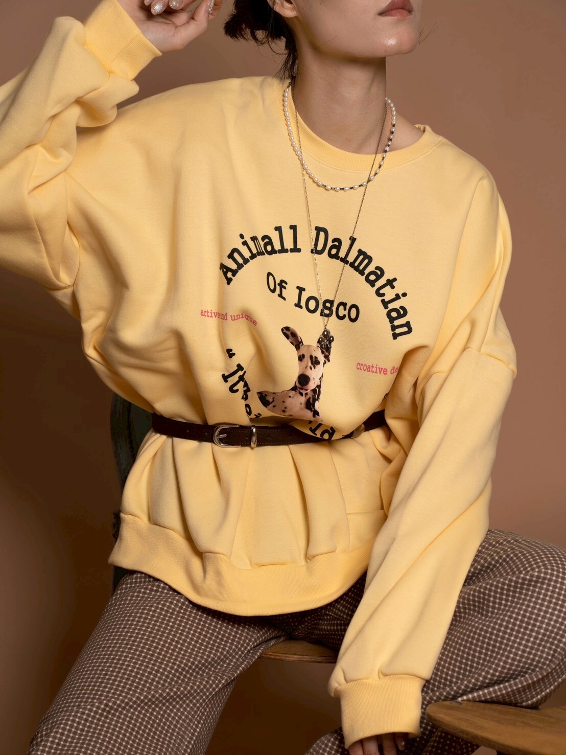 (限量)復古犬系亮眼的大版衛衣/3色均碼/黃