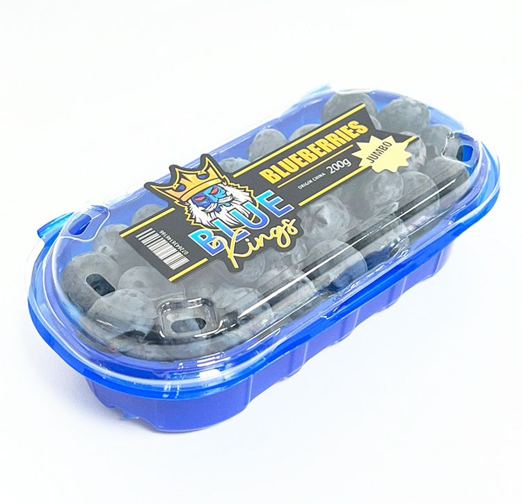 Blue Kings Blueberries [1 pack ]