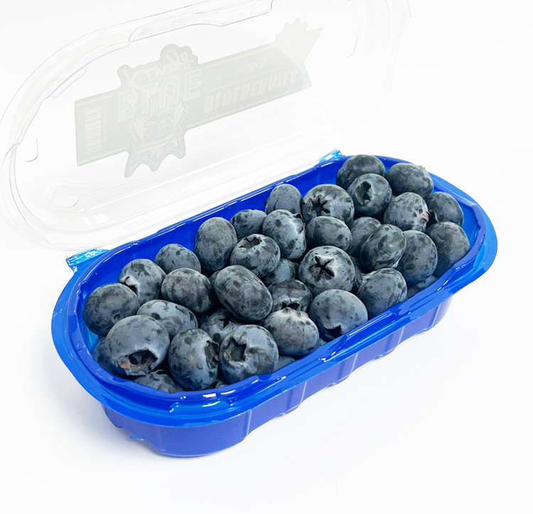 Blue Kings Blueberries [1 pack ]