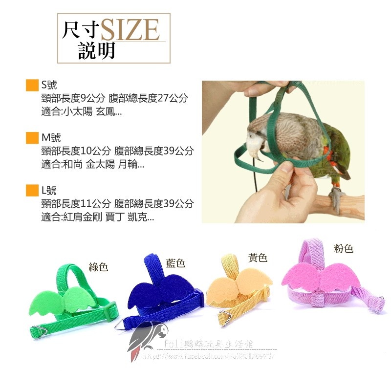 小天使 背帶式外出繩 鸚鵡外出繩 波力鸚鵡玩具生活館