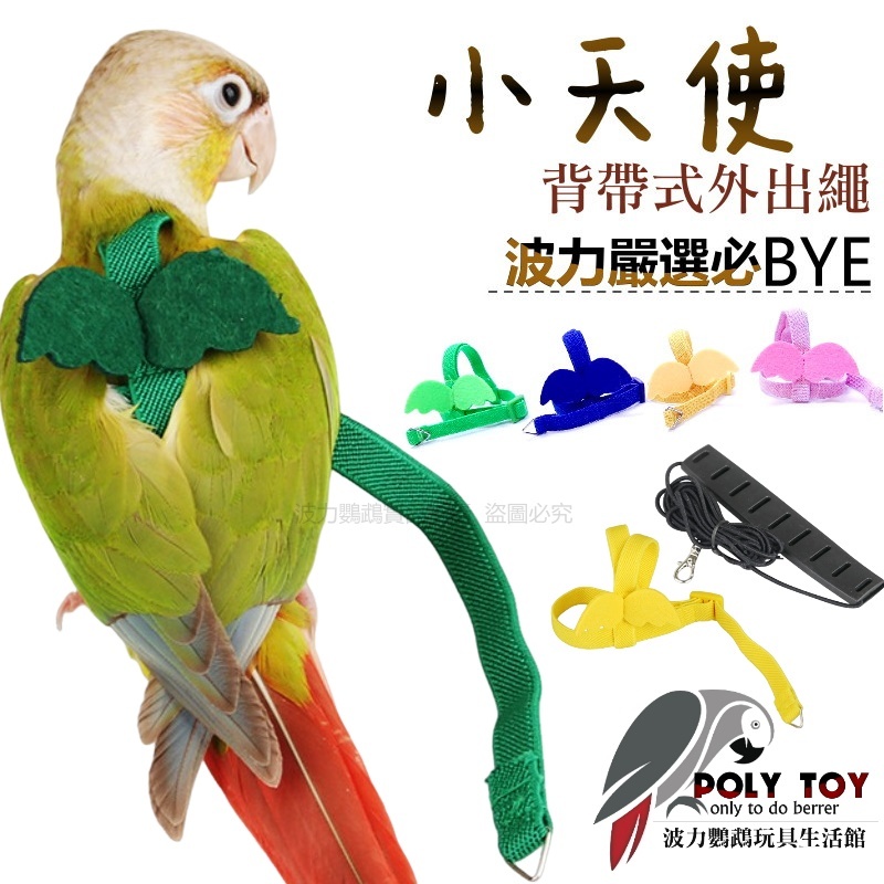 小天使 背帶式外出繩 鸚鵡外出繩 波力鸚鵡玩具生活館