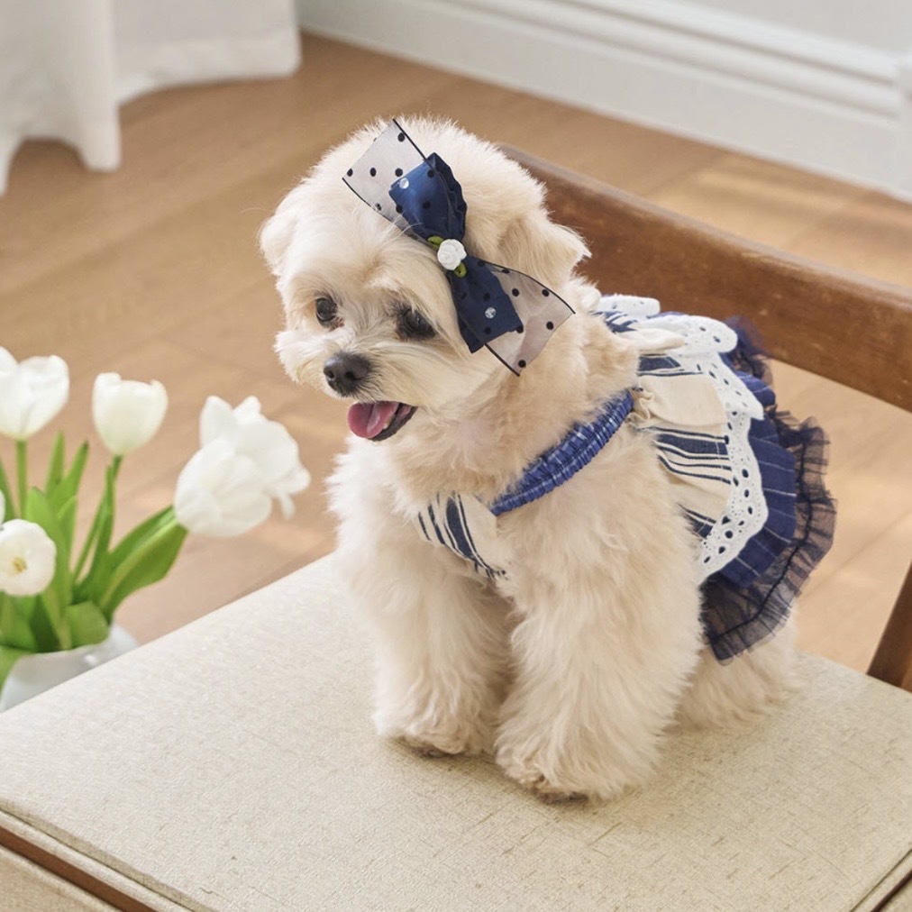 預購優惠-海軍風蕾絲紗裙洋裝 Navy - Lux Marine Cancan   It’s sunny outside