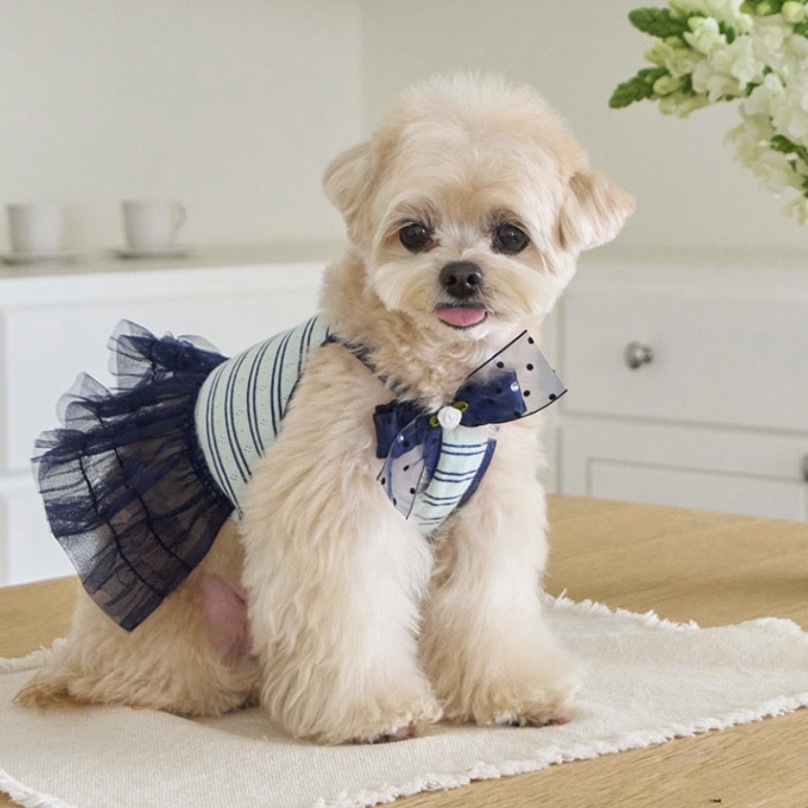 預購優惠- 海軍吊帶條紋紗裙 Navy - Layered Tulle Ops  It’s sunny outside