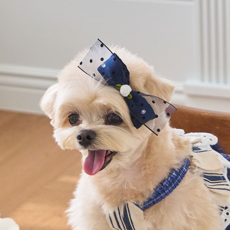 預購優惠 海軍風蝴蝶結髮夾 Navy -配件 髮夾 髮飾 髮夾 -藍紗-It’s sunny outside