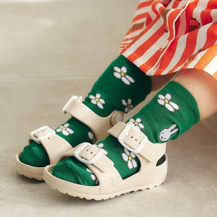 日本 Dick Bruna兒童襪 3色