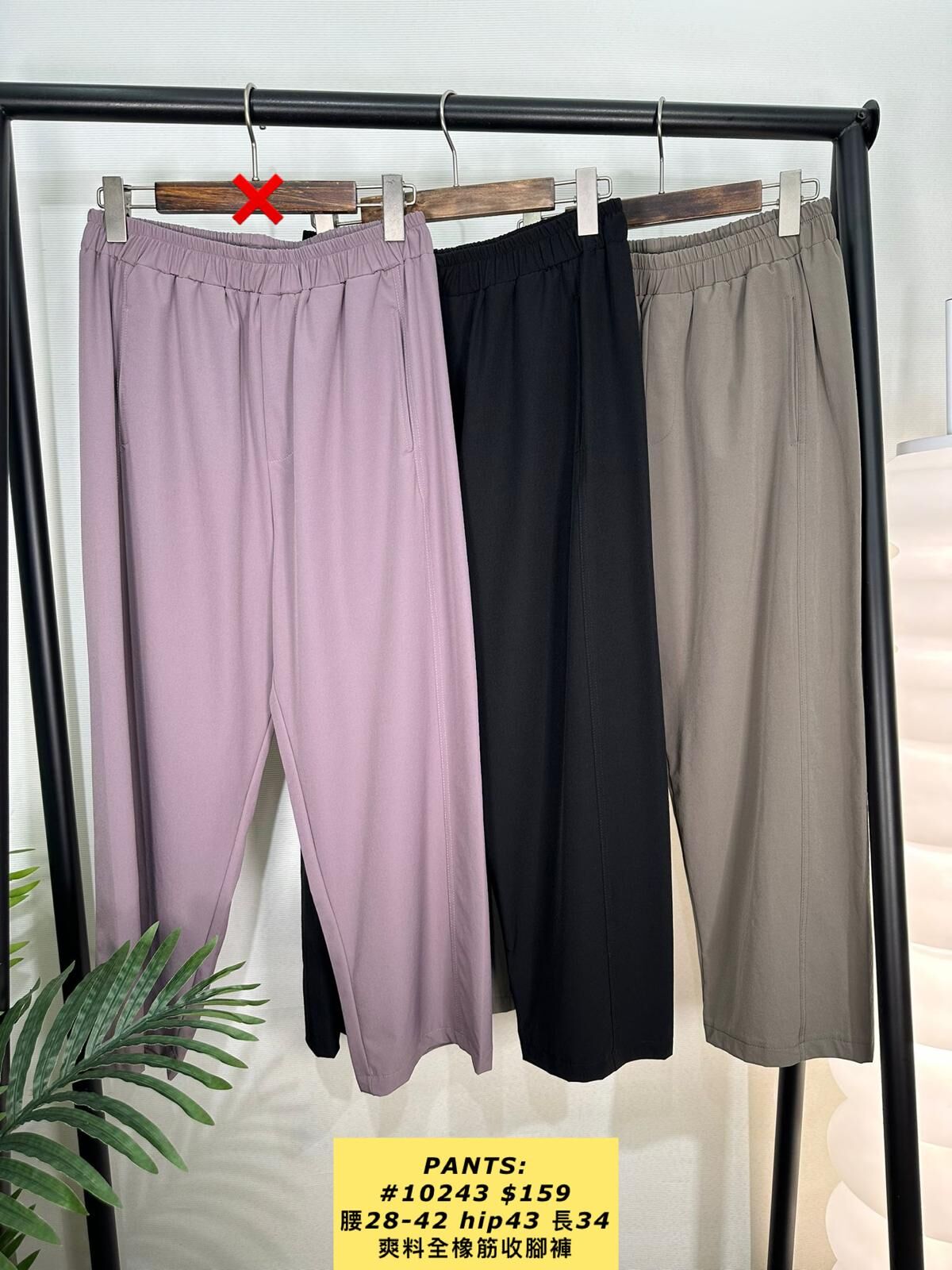 PANTS:  10243  爽料全橡筋收腳褲 (腰28-42 hip43 長34)
