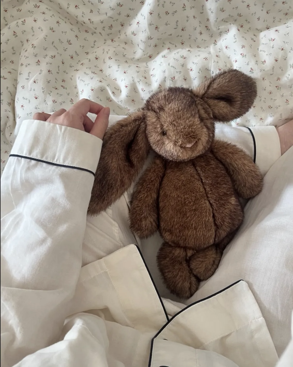 JELLYCAT 2026新款 霍普萊斯敦 Bunny 邦尼兔 兔子 毛絨娃娃 公仔 棕色