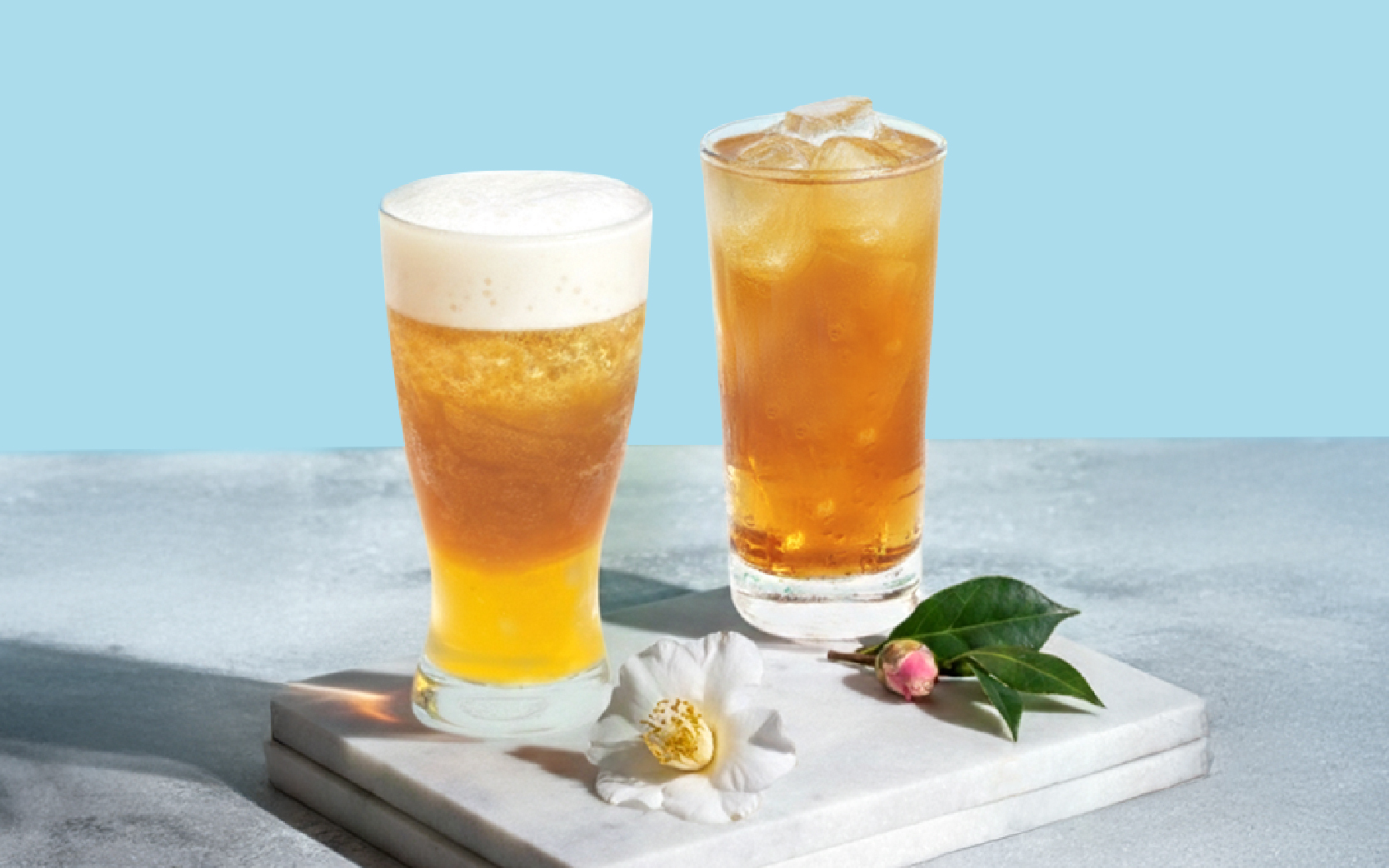 茶花風味紅烏龍茶