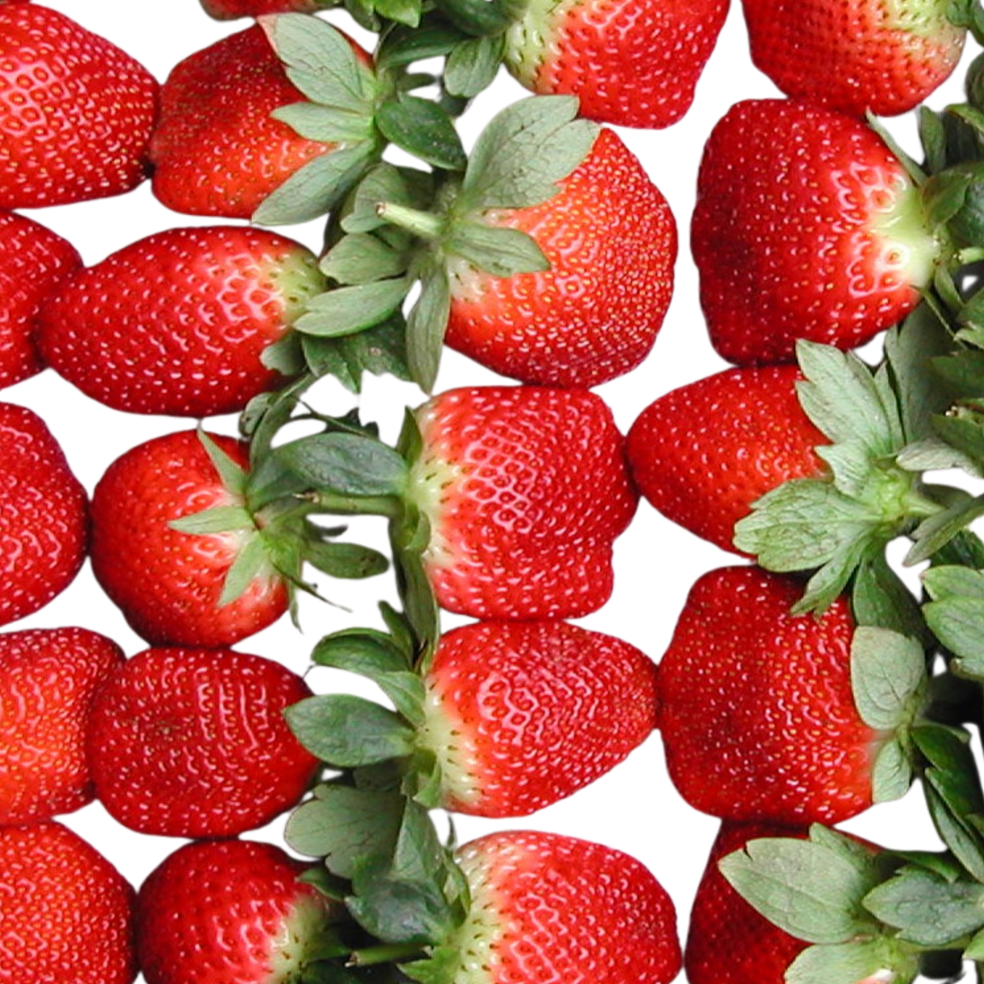 本地有機士多啤梨 (盒)