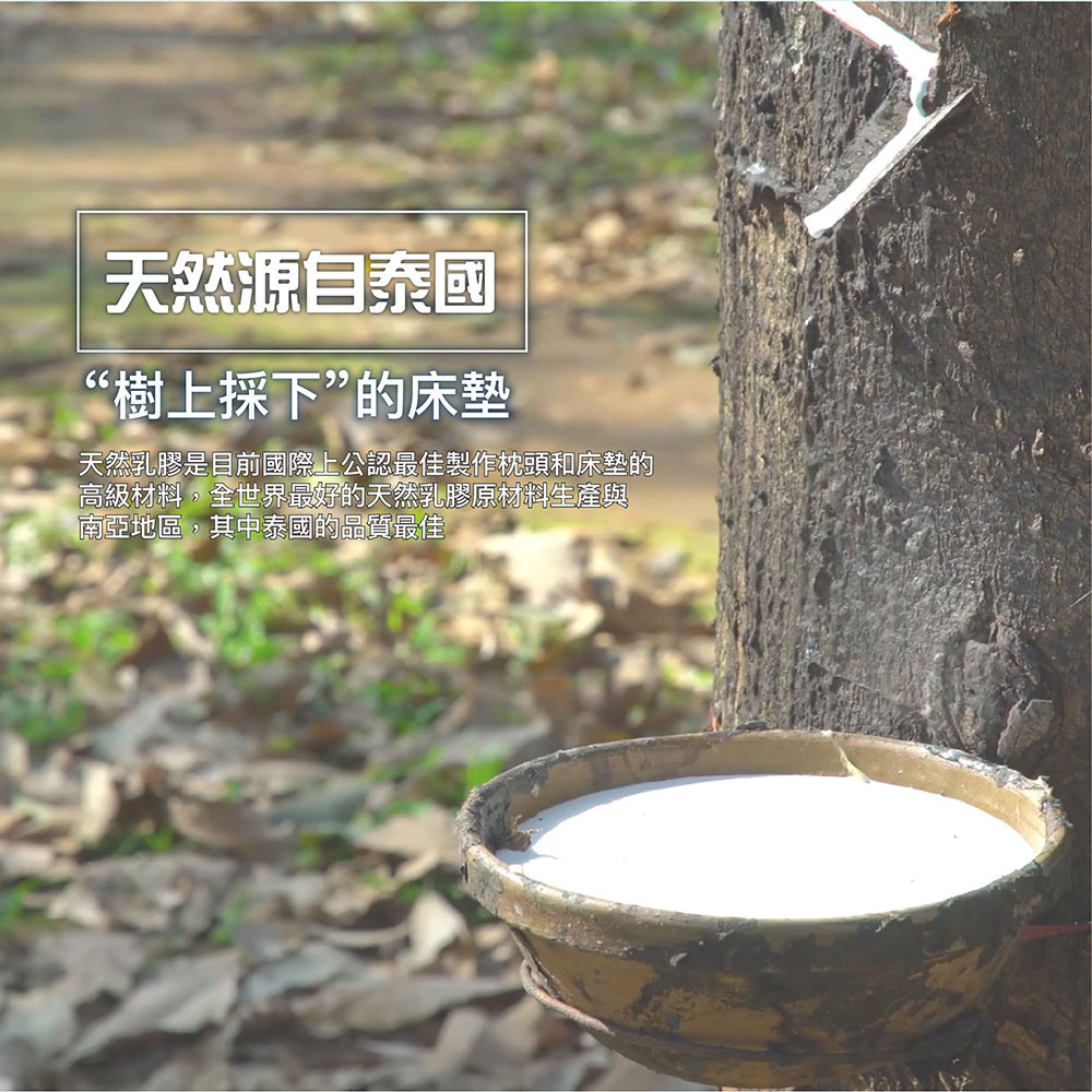 5cm天然乳膠床墊