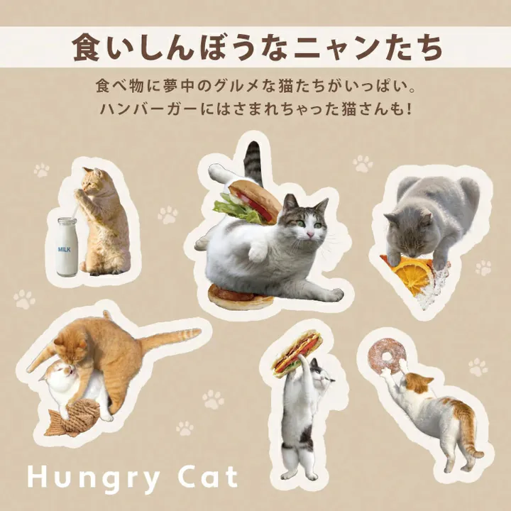 【直播】W.P.C x Masayuki Oki LX031705 貪吃貓咪隔熱防UV縮骨遮