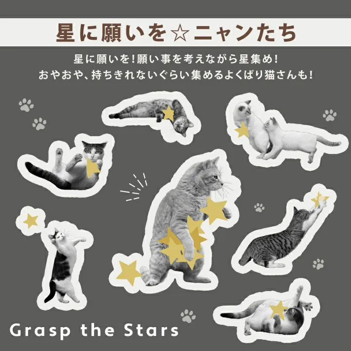 【直播】W.P.C x Masayuki Oki LX031707 摘星貓咪隔熱防UV輕量縮骨遮