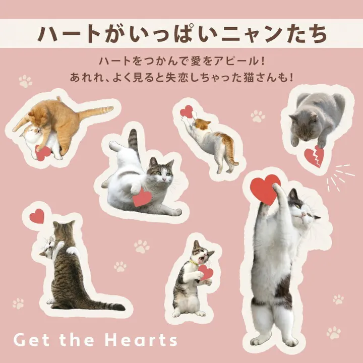 【直播】W.P.C x Masayuki Oki LX031708 心心造型貓咪隔熱防UV輕量縮骨遮