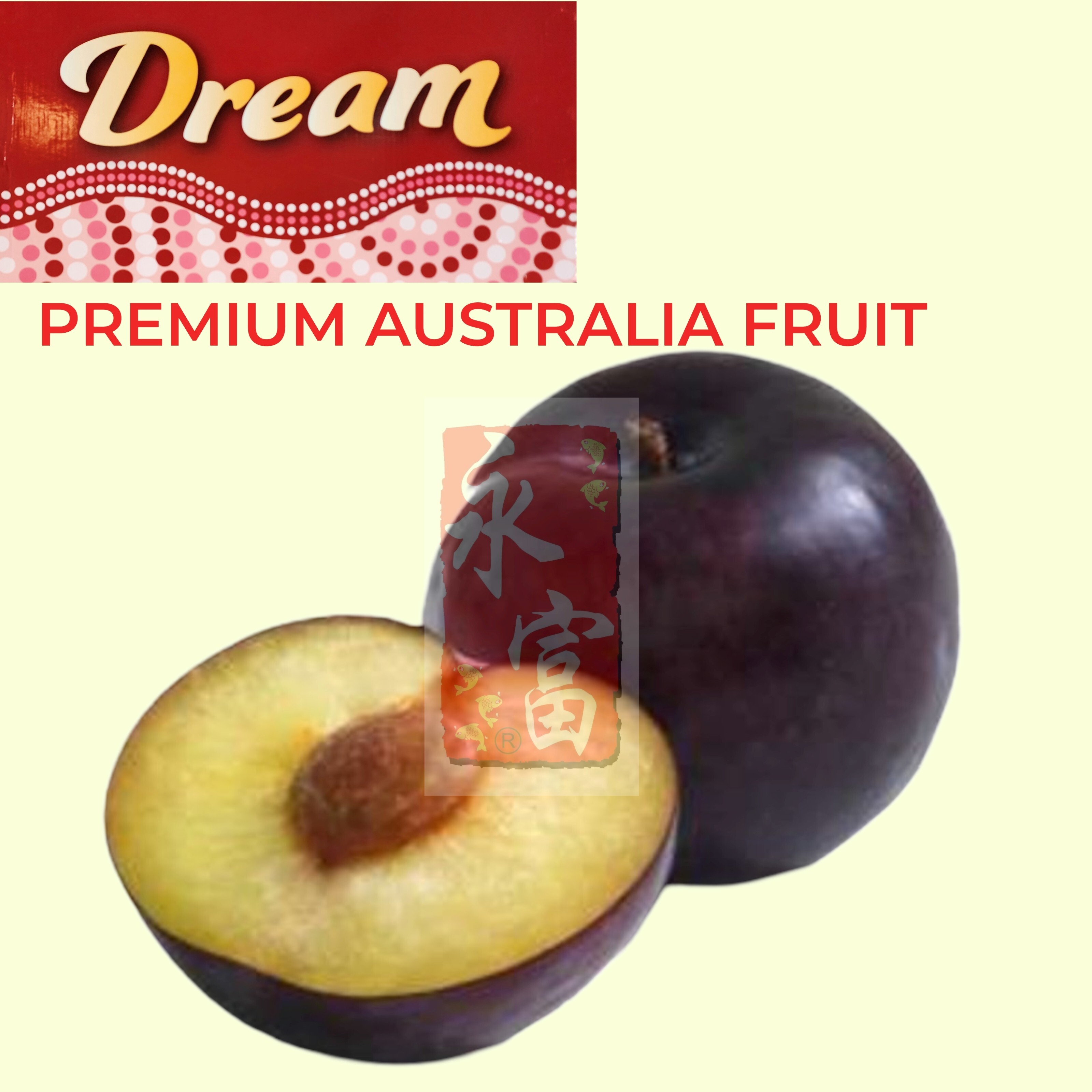 澳洲黑布冧(6個)